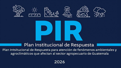PIR - Plan Institucional de Respuesta