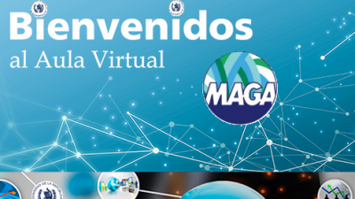 Acceso Aula Virtual